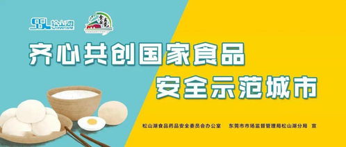 創(chuàng)食安城，食安守護——松山湖食品安全體驗活動邀您共筑健康生活